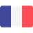 French flag